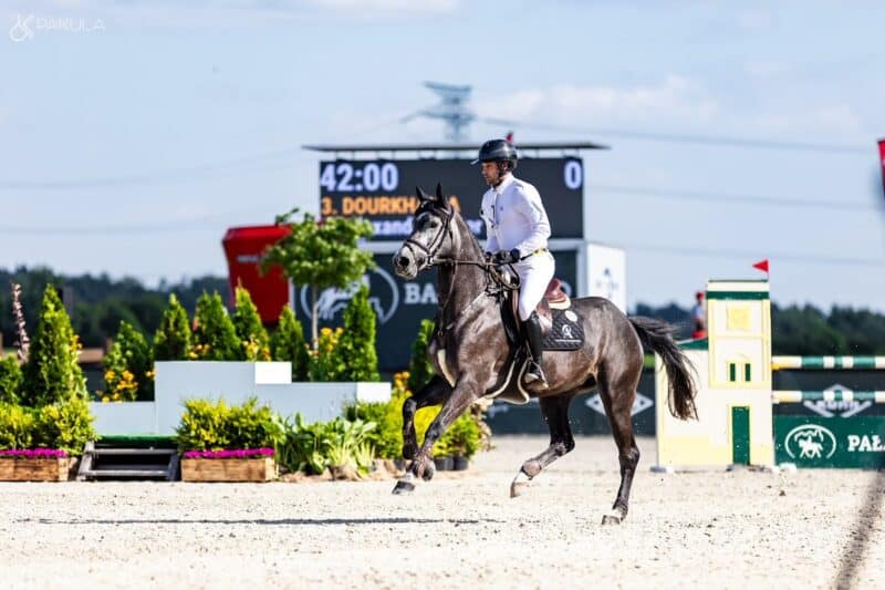 Alexander Ofner konnte zwei fünfjährige Springpferde für die WM in Lanaken qualifizieren. © Privat