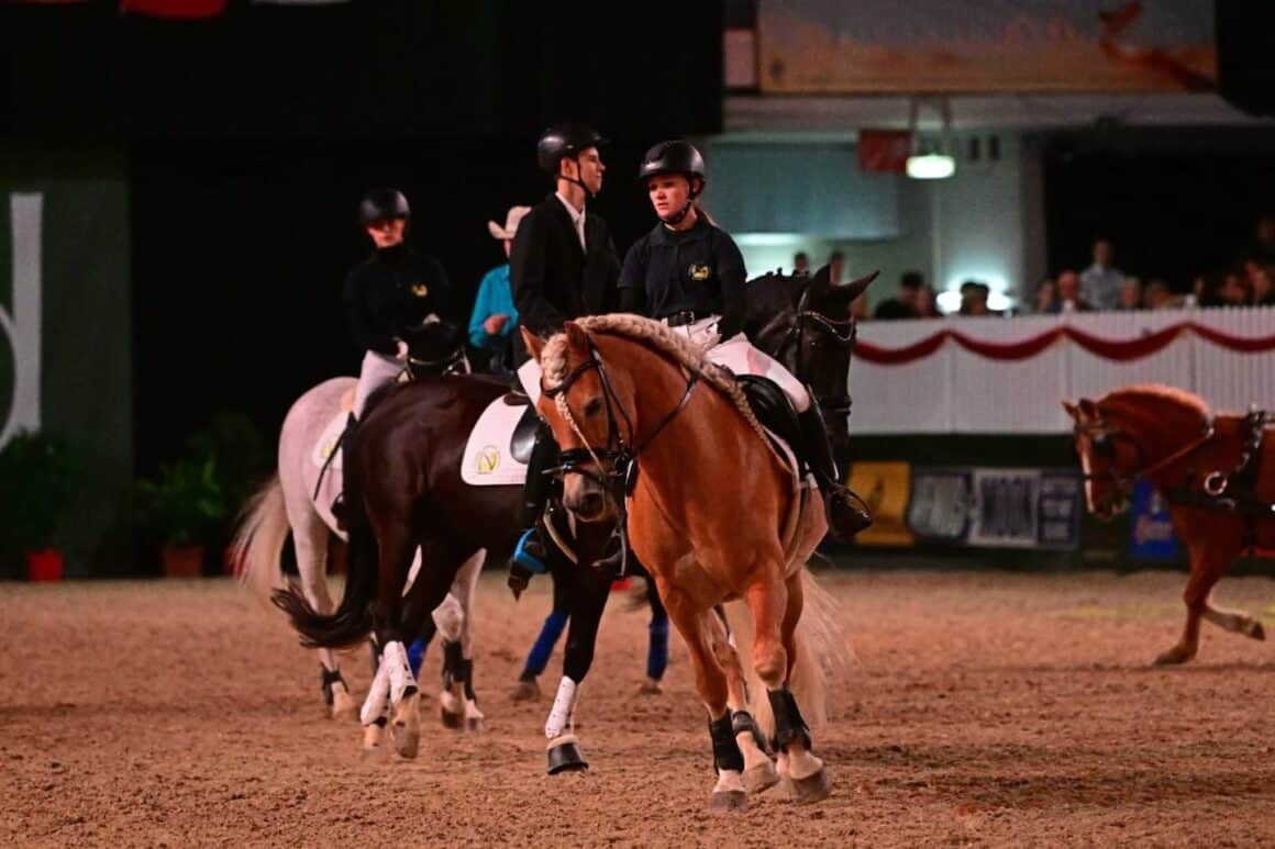 Das Tullnerbacher Norbertinum kämpfte bei der Apropos Pferd mit Schwierigkeiten. © Horsic