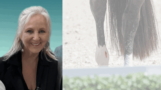 Ein Kommentar von Ruth M. Büchlmann zur geplanten Änderung der FEI Blood Rule. ©️ EQWO.net