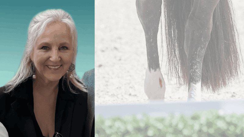 Ein Kommentar von Ruth M. Büchlmann zur geplanten Änderung der FEI Blood Rule. ©️ EQWO.net