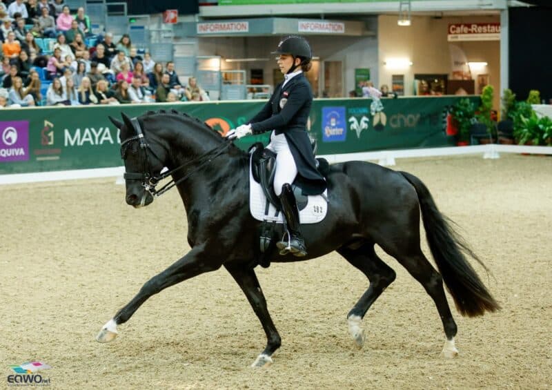 Neues Dreamteam für Österreich? Felicita Simoncic (W) und Four Legends geben in Wr. Neustadt ein Spitzen-Debüt. © EQWO.net | Petra Kerschbaum