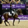 Cathrine Laudrup-Dufpur (DEN) Mount St John Freestyle CDI-W Herning 2025 © EQWO.net