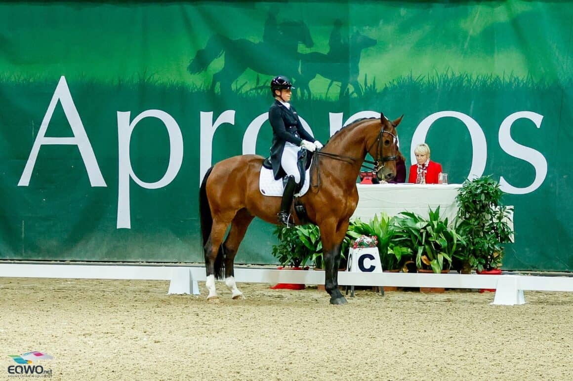 Renate Voglsang (W) und Fürst Ferdinand zur Fasanenhöhe, CDI3* Wiener Neustadt © EQWO.net | Petra Kerschbaum