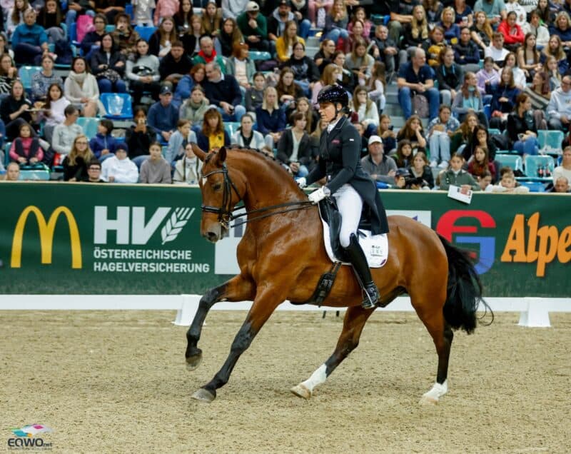 Comeback! Nach 21 Monaten Turnierpause sind Renate Voglsang (W) und Fürst Ferdinand zur Fasanenhöhe wieder angetreten. © EQWO.net | Petra Kerschbaum
