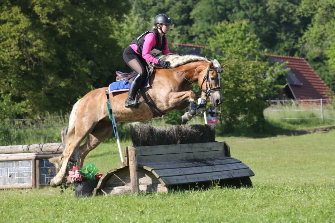 Valerie Bischof und ihr Haflinger erobern die Vielseitigkeit. ©️Privat