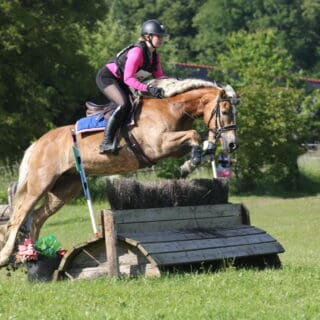 Valerie Bischof und ihr Haflinger erobern die Vielseitigkeit. ©️Privat