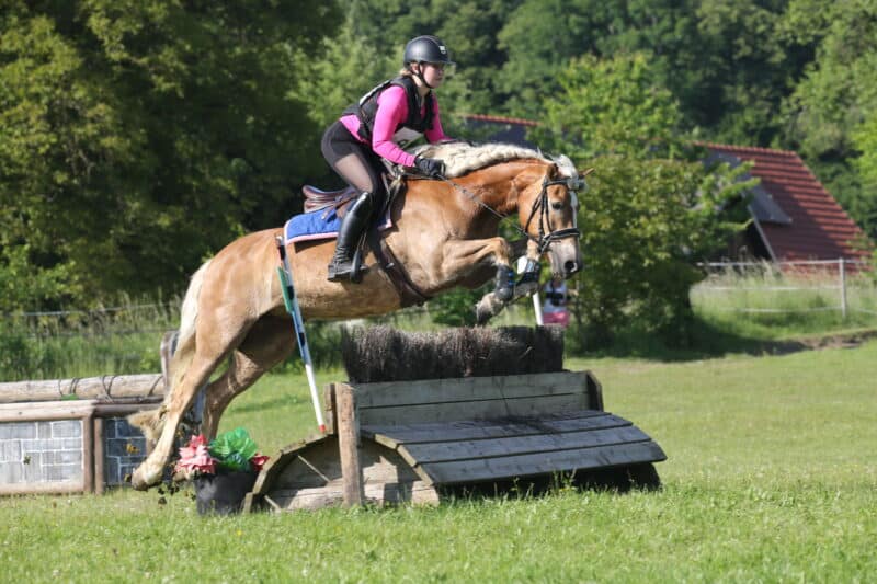 Valerie Bischof und ihr Haflinger erobern die Vielseitigkeit. ©️Privat