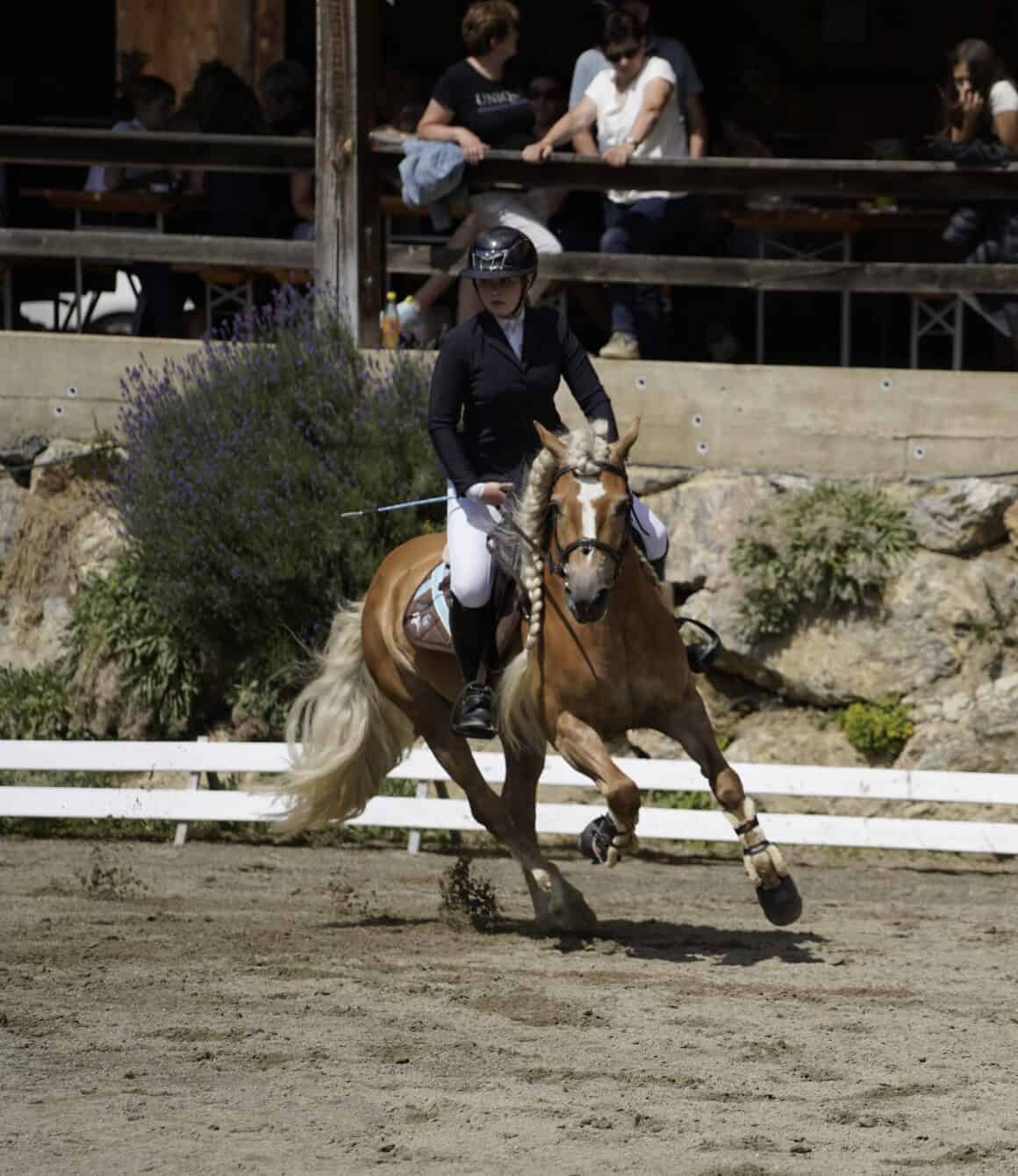 Valerie Bischof reitet mit ihrem Haflinger in der Vielseitigkeit. ©️ Privat