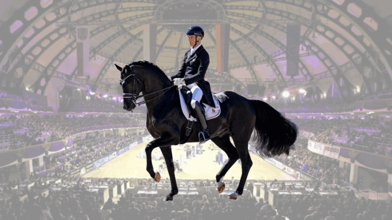 Europameister Verboomen trifft beim Top-12 Finale in Frankfurt auf Isabell Werth und Cathrine Laudrup-Dufour! ©️ EQWO.net