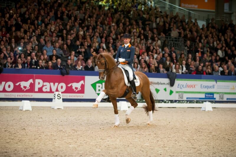 Abschied von einer Vererber-Legende: Vivaldi (Krack C x Jazz) ist mit 23 Jahren verstorben. © FB: KWPN | Dirk Caremans