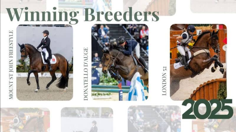 Das sind die "WBFS Breeders of the year 2025"!© WBFSH