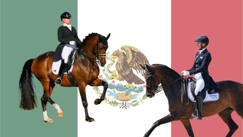 Deutsche Weltstars fliegen von 7. bis 9. November zum CDI-W in St Vincent, Mexico! © EQWO.net | Petra Kerschbaum