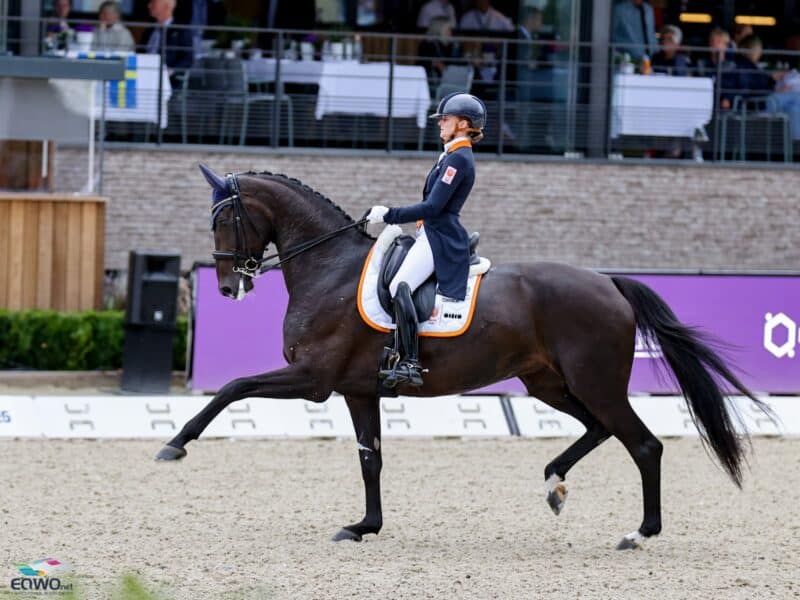 Marieke van der Putten (NED) darf Zantana RS2 mindestens zur WM 2026 in Aachen behalten. Dafür sorgte die N.O.P. ©️ EQWO.net