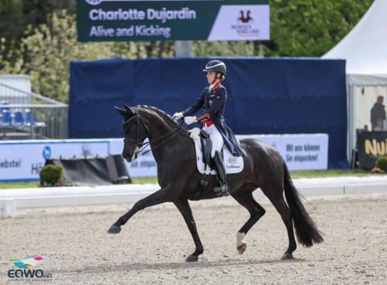 Charlotte Dujardin (GBR) stellt Ulrike Bachingers Alive and Kicking beim CDI-W in London vor. ©️ EQWO.net | Petra Kerschbaum