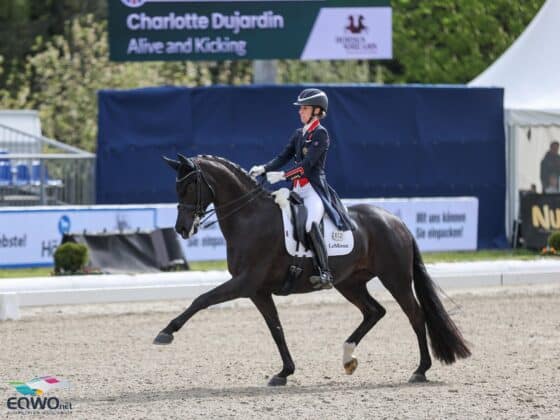 Charlotte Dujardin (GBR) stellt Ulrike Bachingers Alive and Kicking beim CDI-W in London vor. ©️ EQWO.net | Petra Kerschbaum