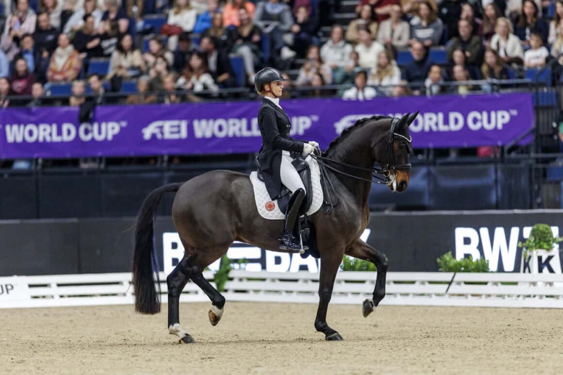 Jessica von Bredow-Werndl (GER) Diallo BB CDI-W Stuttgart © FEI | Stefan Lafrentz