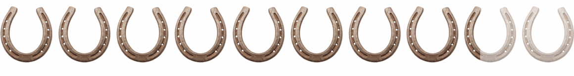 Die Bewertung von Luisa Merkentrup fällt bei 8,3 Hufeisen an. ©️ EQWO.net