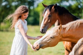 Lilly Gröger und ihre beiden Jungpferde Ferdinand und Conrad. ©️Lilly gröger