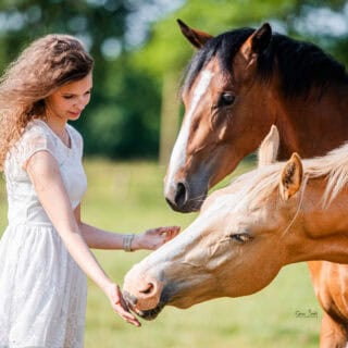 Lilly Gröger und ihre beiden Jungpferde Ferdinand und Conrad. ©️Lilly gröger