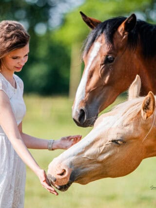 Lilly Gröger und ihre beiden Jungpferde Ferdinand und Conrad. ©️Lilly gröger