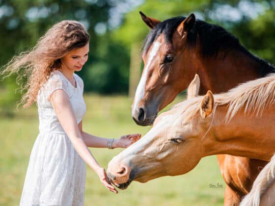 Lilly Gröger und ihre beiden Jungpferde Ferdinand und Conrad. ©️Lilly gröger