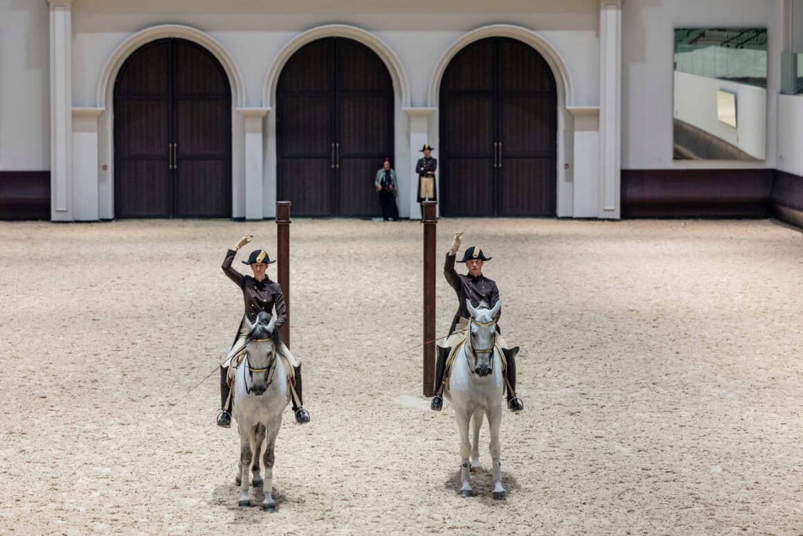 Spanische Hofreitschule, Abu Dhabi © ADREA – Spanische Hofreitschule