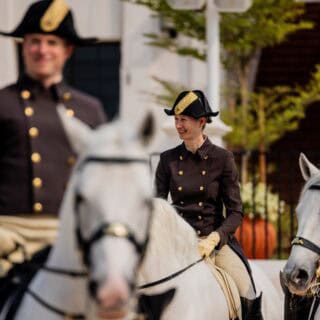 8 Lipizzaner reisten mit einem Team der Spanischen Hofreitschule nach Abu Dhabi zur Eröffnung der weltweit fünften Reitschule der hohen Kunst. © ADREA – Spanische Hofreitschule