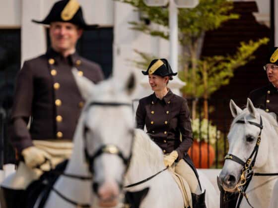 8 Lipizzaner reisten mit einem Team der Spanischen Hofreitschule nach Abu Dhabi zur Eröffnung der weltweit fünften Reitschule der hohen Kunst. © ADREA – Spanische Hofreitschule