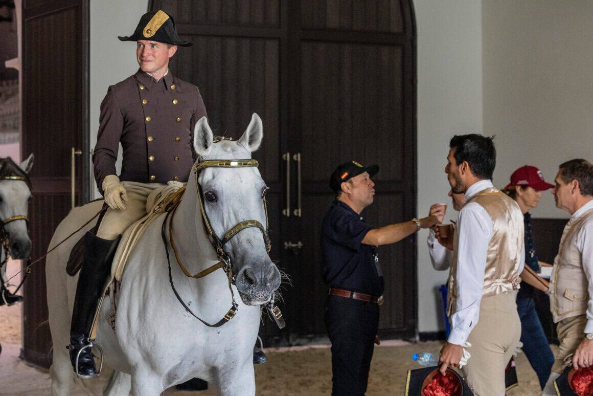 Spanische Hofreitschule, Abu Dhabi © ADREA – Spanische Hofreitschule