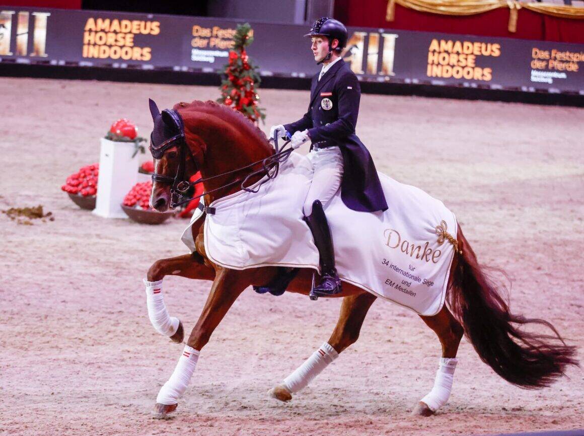 Bodyguard wird nach acht Europameisterschaften und fünf Medaillen mit 16 Jahren aus dem Sport verabschiedet. ©️ EQWO.net | Petra Kerschbaum