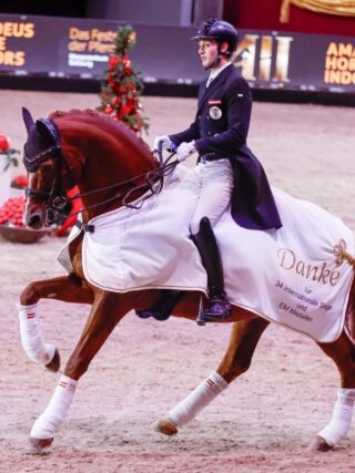 Bodyguard wird nach acht Europameisterschaften und fünf Medaillen mit 16 Jahren aus dem Sport verabschiedet. ©️ EQWO.net | Petra Kerschbaum