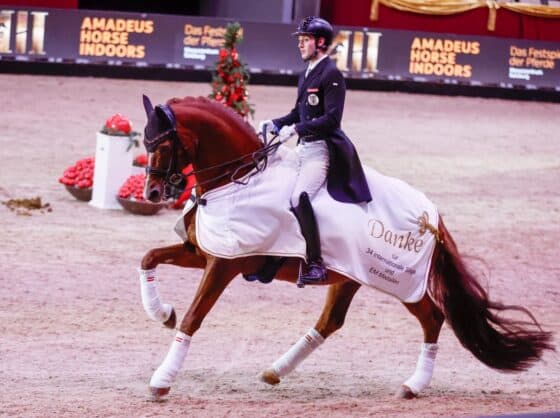 Bodyguard wird nach acht Europameisterschaften und fünf Medaillen mit 16 Jahren aus dem Sport verabschiedet. ©️ EQWO.net | Petra Kerschbaum