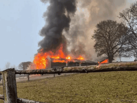 Großbrand am Adventsonntag! In Ofenbach fing ein Pferdestall plus Heulager Feuer. © FB: Feuerwehr Lanzenkirchen