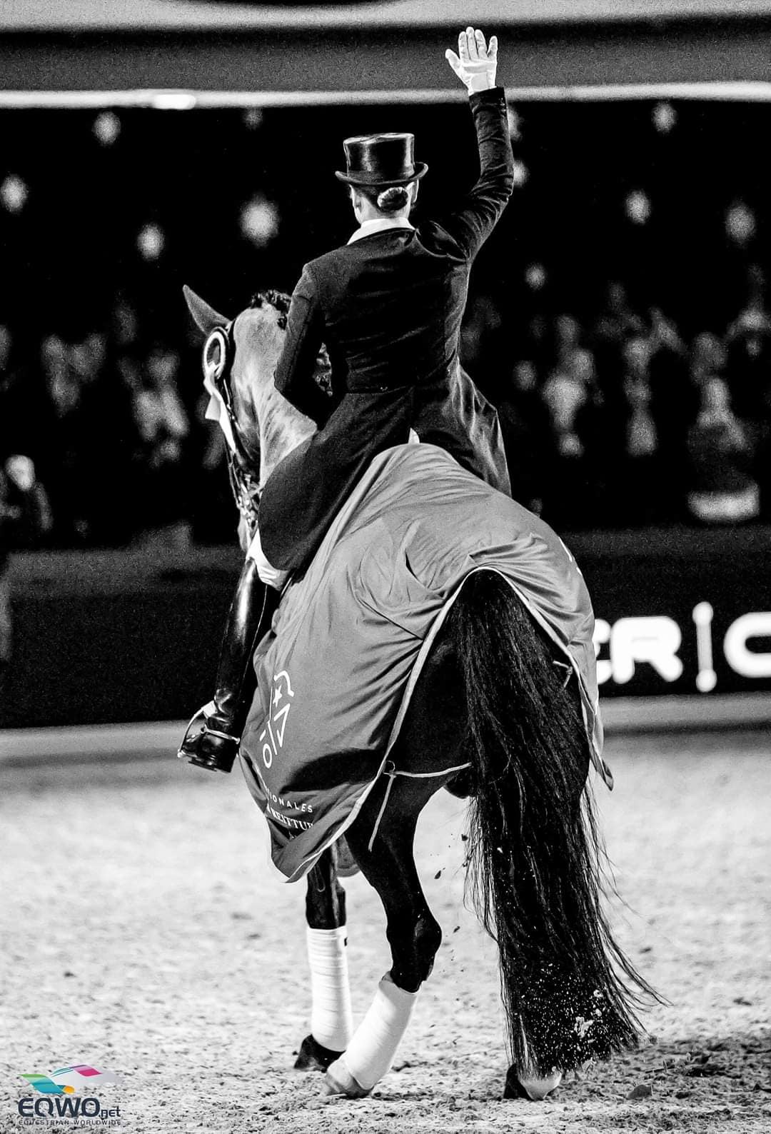 Goodbye Johnny! Hieß es 2019 in Frankfurt, als der Wallach aus dem Sport verabschiedet wurde. Nun musste sich Isabell Werth erneut verabschieden. © EQWO.net | Petra Kerschbaum