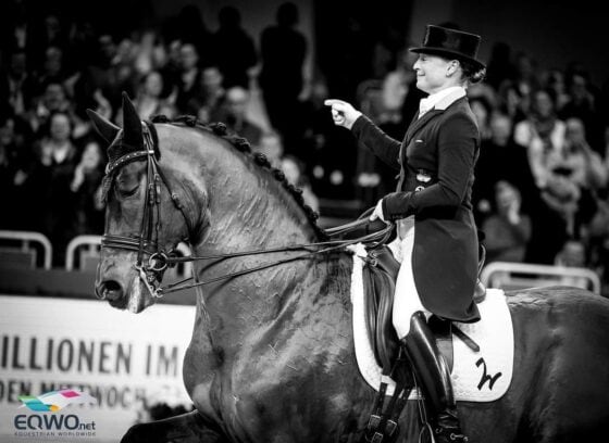 Isabell Werths Don Johnson FRH ist tot. Er brach sich auf seiner Pensions-Koppel mit 24 Jahren ein Bein. © EQWO.net | Petra Kerschbaum