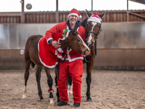 Sebastian "Basti" Marx hat über 1,6 Million Follower und begeistert täglich mit humorvollem und sarkastischem Content. ©️ Instagram: sebastian.marx_original