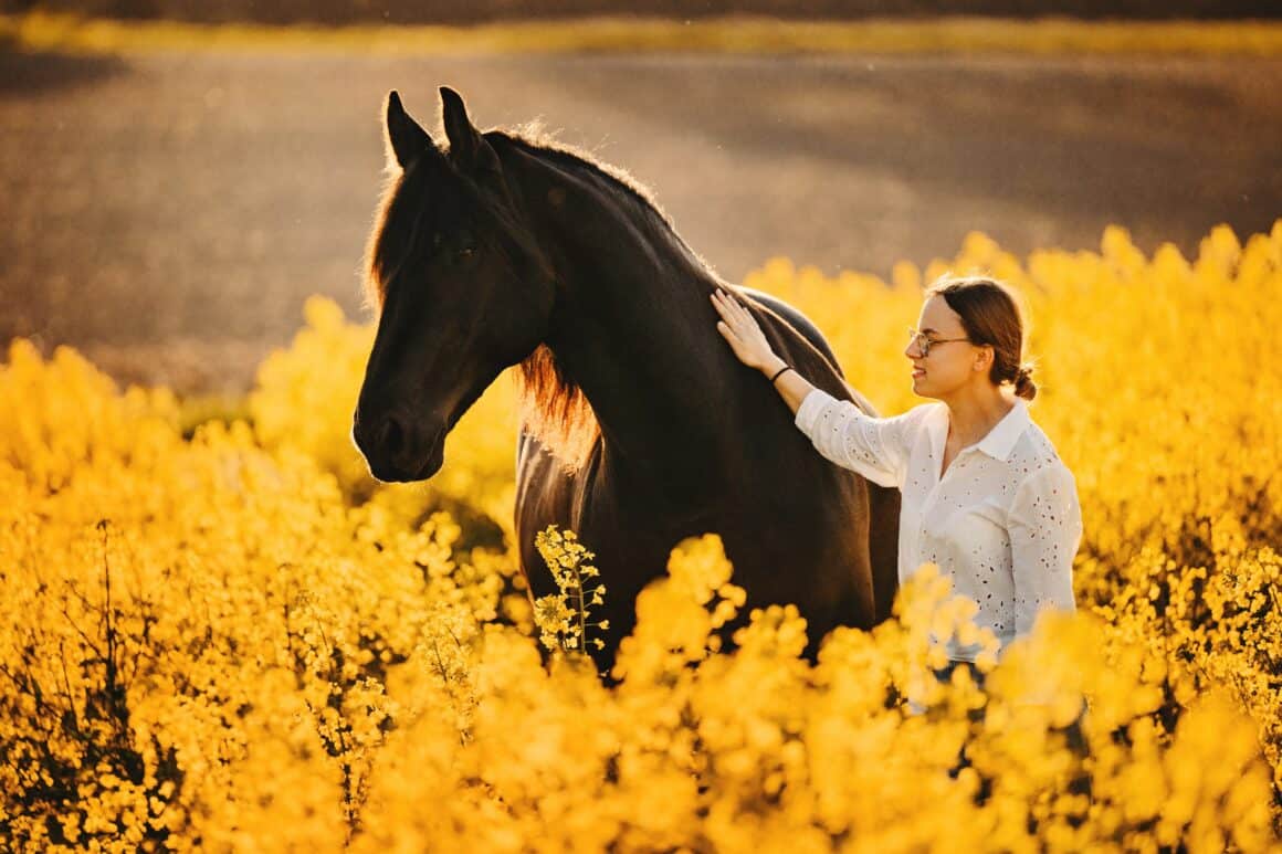 Tamara Grasl gelben Rapsfeld mit ihrer Friesen-Stute Niki.