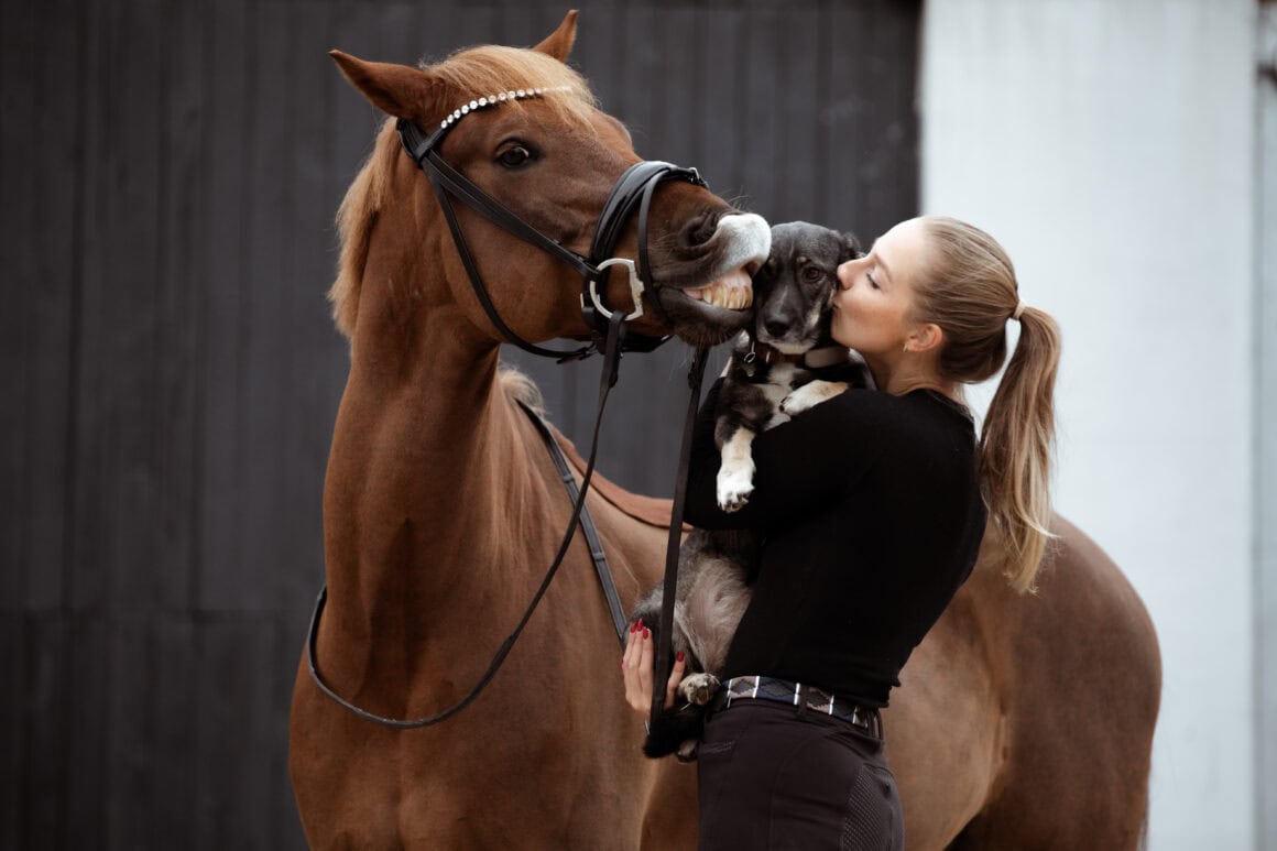 Frodo, Ferdinand und Tierschutzhund Frida sind die tierische Familie von Janina Jeblonski. ©️Janina Jeblonski