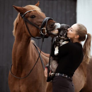 Frodo, Ferdinand und Tierschutzhund Frida sind die tierische Familie von Janina Jeblonski. ©️Janina Jeblonski