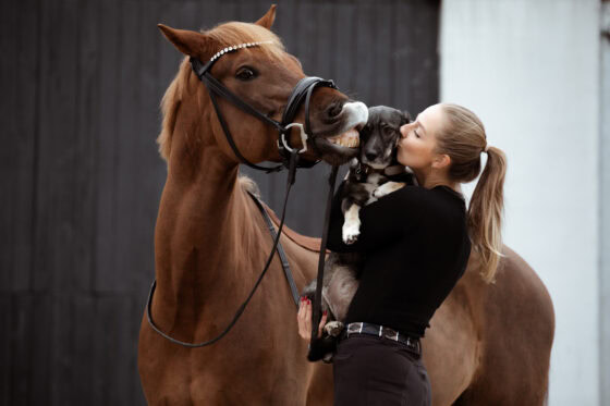 Frodo, Ferdinand und Tierschutzhund Frida sind die tierische Familie von Janina Jeblonski. ©️Janina Jeblonski