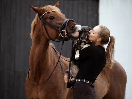 Frodo, Ferdinand und Tierschutzhund Frida sind die tierische Familie von Janina Jeblonski. ©️Janina Jeblonski