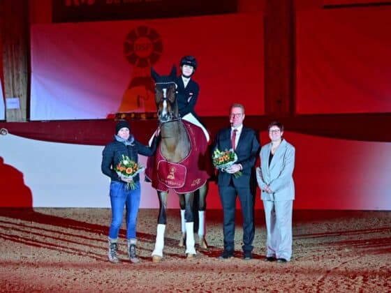 Emilia Brandstätters EM-Stute Weena erhielt bei den Süddeutschen Hengsttagen das ehrenvolle Präfix DSP verliehen. © Björn Schröder