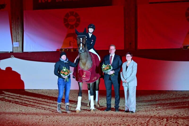 Emilia Brandstätters EM-Stute Weena erhielt bei den Süddeutschen Hengsttagen das ehrenvolle Präfix DSP verliehen. © Björn Schröder