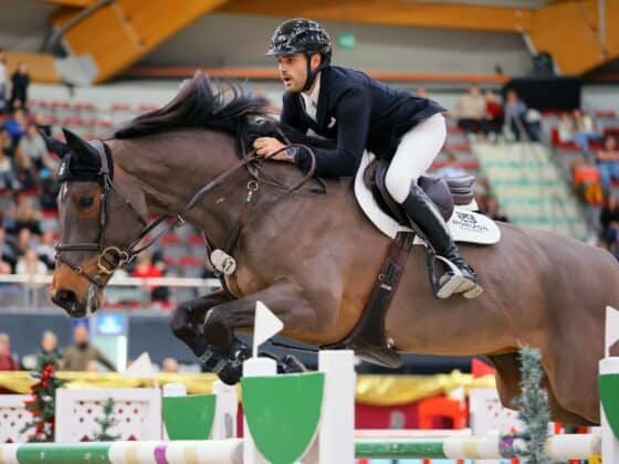 Felix Koller (OÖ) steht mit seiner neuen Stute Cossinelle auf Max Kühners Liste für die Weltmeisterschaft 2026 in Aachen. © Oneklickfoto