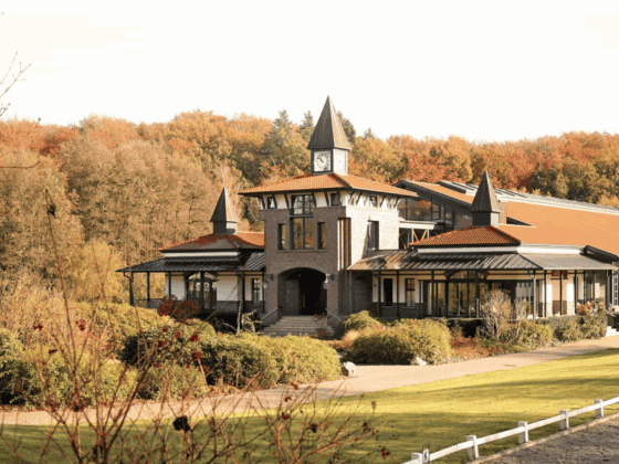 Maik Kanitzky läutet am Gestüt Famos einen neuen Abschnitt ein! © Website: www.gestuet-famos.com