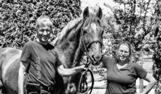 Springsport-Legende Goldfever ist im Alter von 35 Jahren verstorben. © FB: Beerbaum Stables