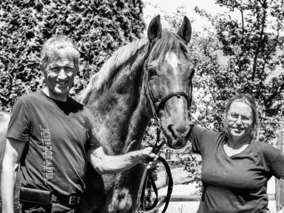 Springsport-Legende Goldfever ist im Alter von 35 Jahren verstorben. © FB: Beerbaum Stables