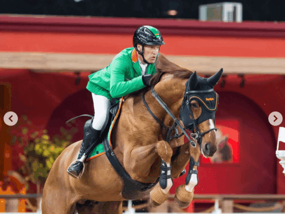 Gerfried Puck (T) verbringt den Jahresbeginn mit seinem Olympiapferd Naxcel V erneut im Nahen Osten. © IG: dohatour.qa