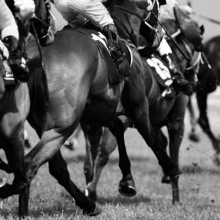 3 tote Pferde: Rabenschwarzer Tag für den britischen Rennsport. @ Shutterstock