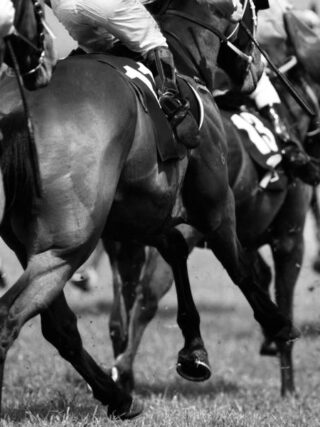 3 tote Pferde: Rabenschwarzer Tag für den britischen Rennsport. @ Shutterstock